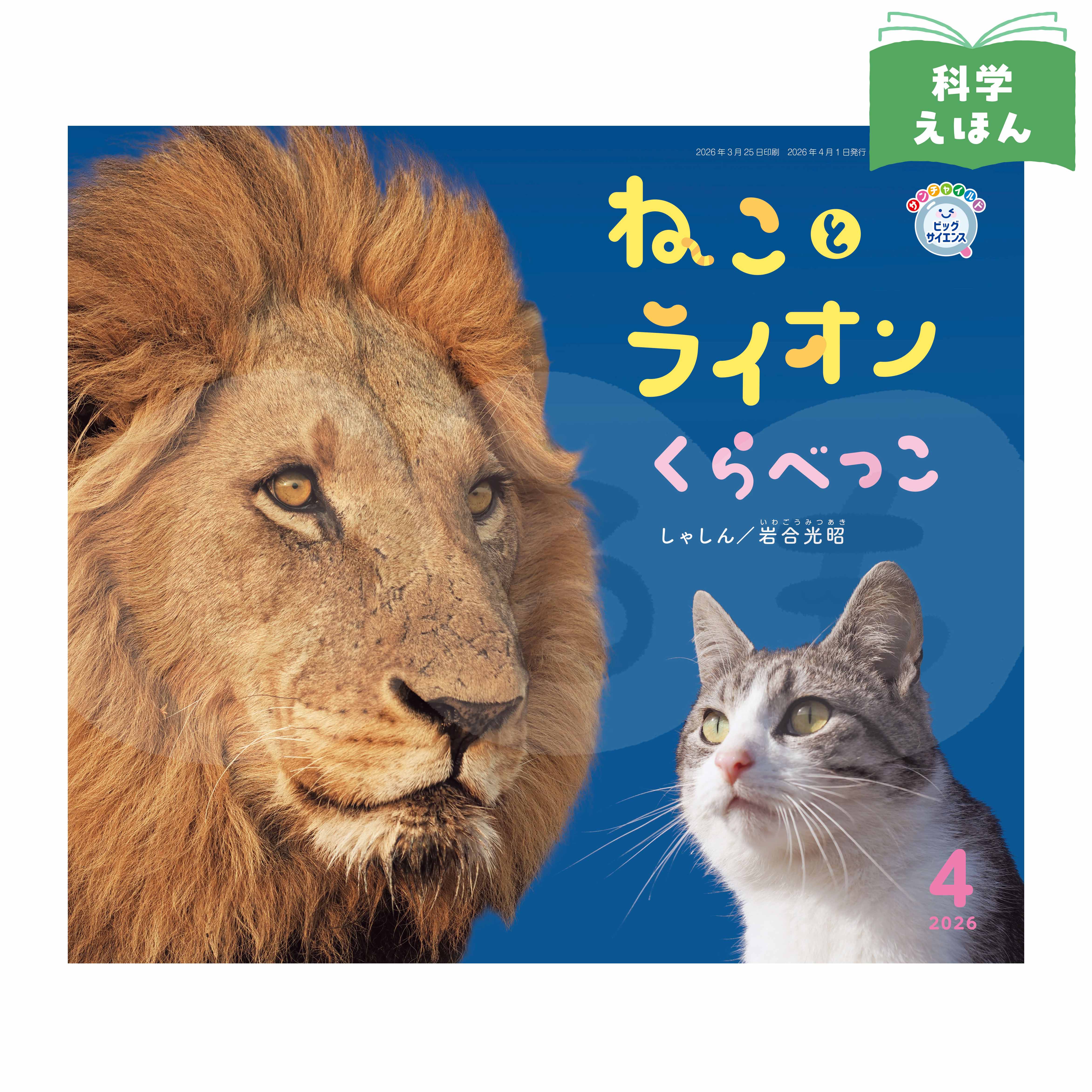 サンチャイルド・ビッグサイエンス 2026年度4月号 「ねこと ライオン くらべっこ」